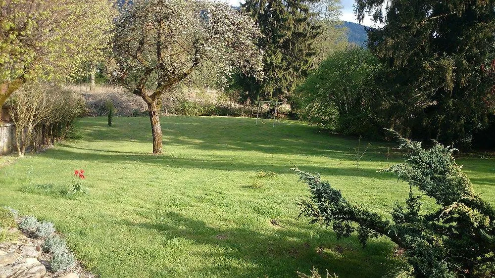 Guest house A La Grenouille Bed & Breakfast Bellignat
